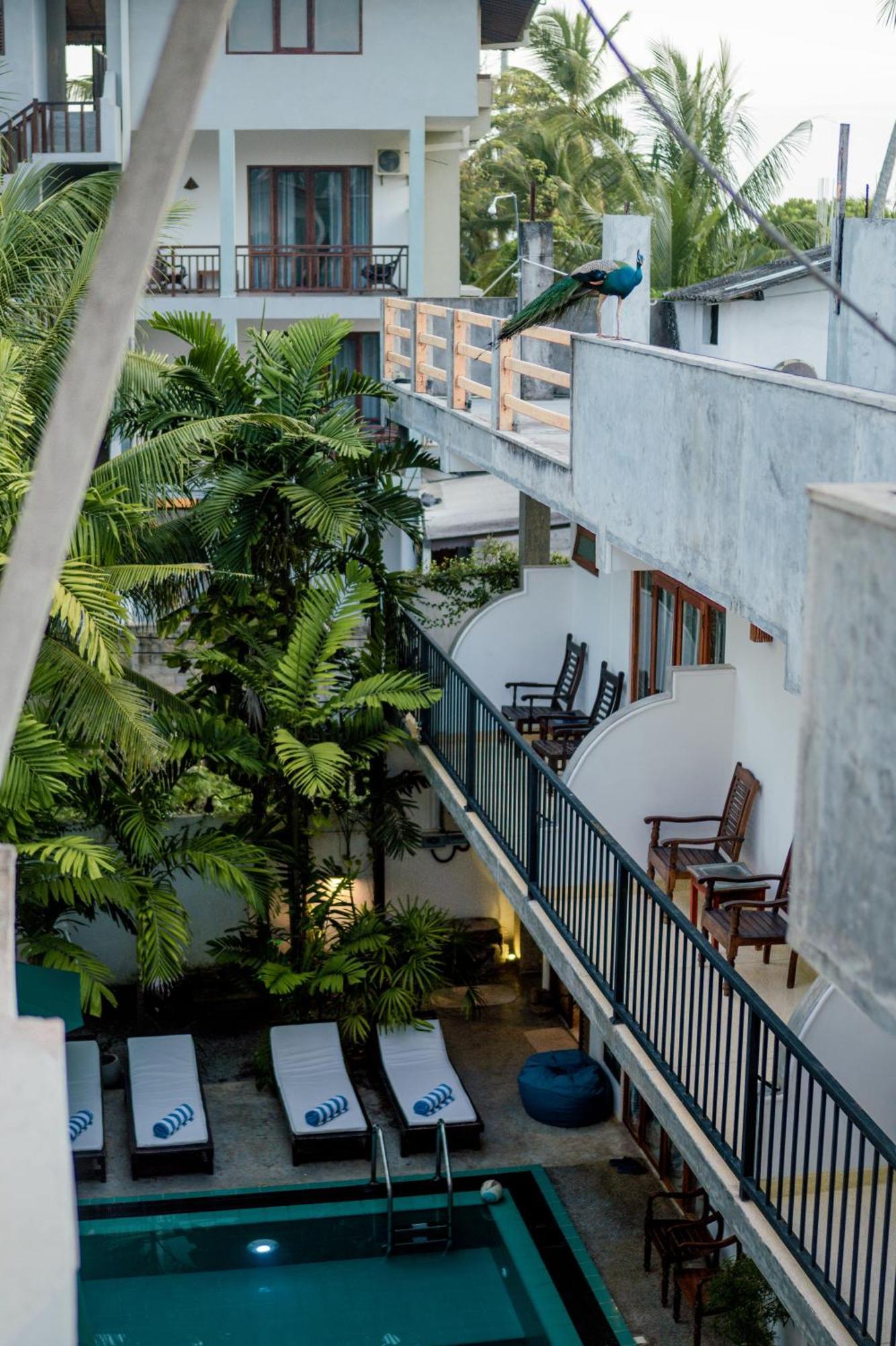 Bienvenido Cozy Madiha Hotel Matara Eksteriør billede