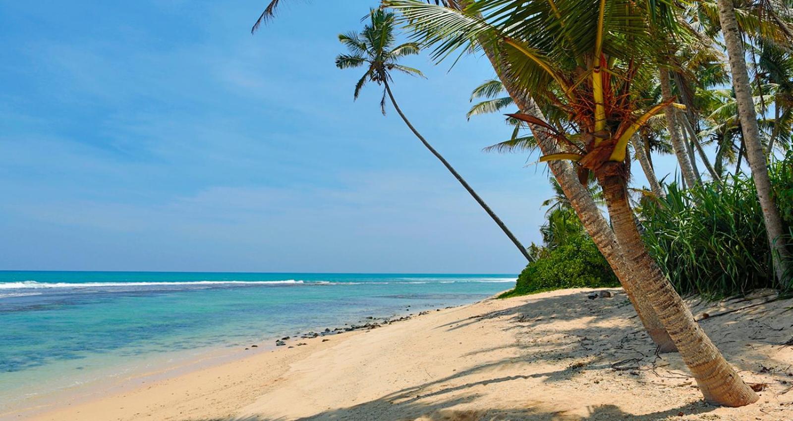 Bienvenido Cozy Madiha Hotel Matara Eksteriør billede