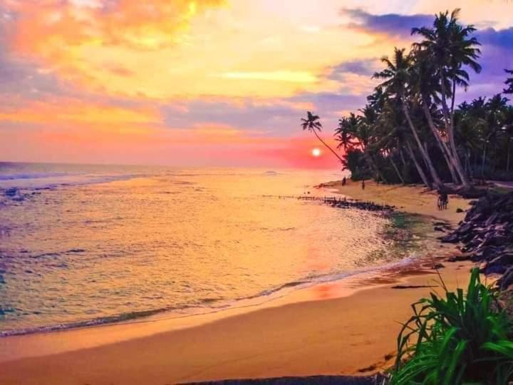 Bienvenido Cozy Madiha Hotel Matara Eksteriør billede